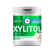 LOTTEWELLFOOD Xylitol Original Container 100g x 24